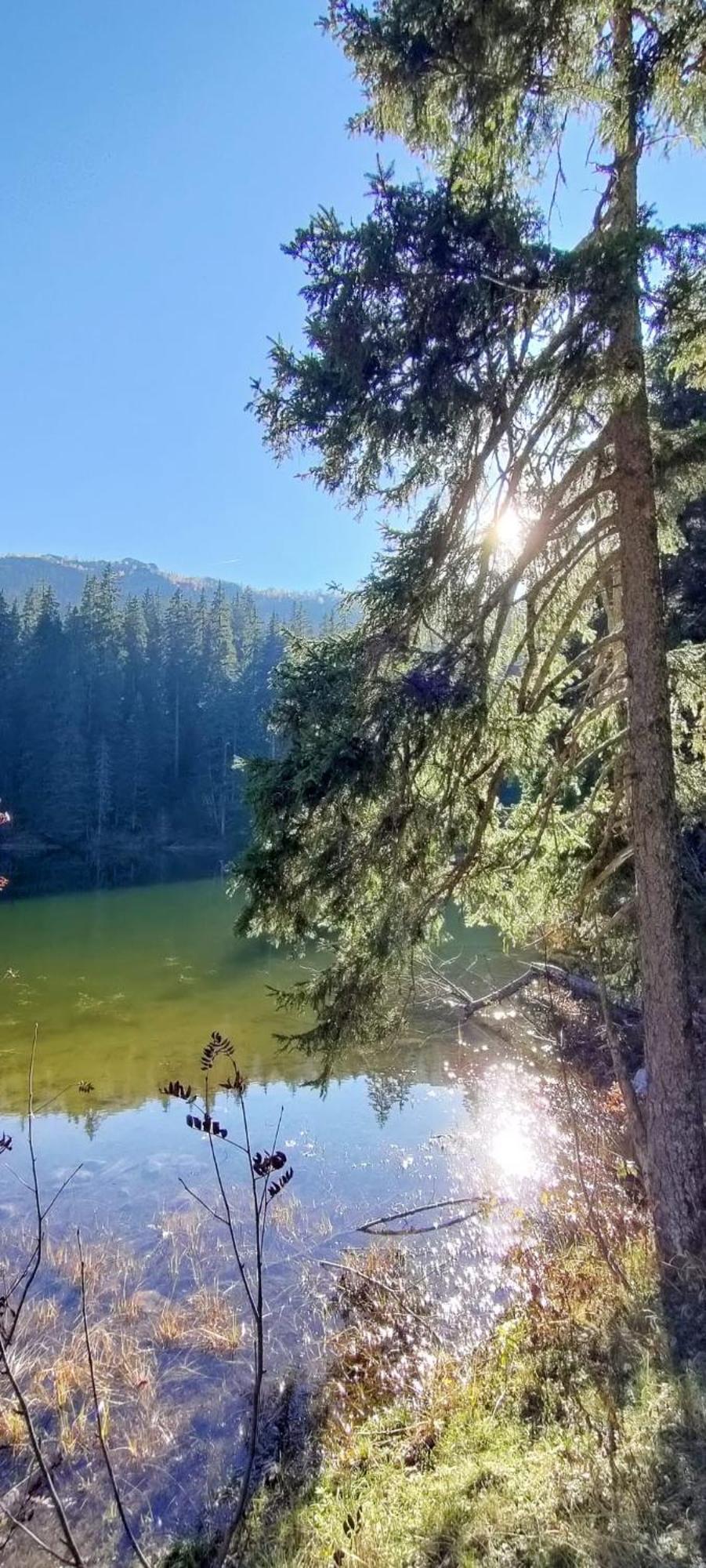 Vikendica Aleksandra Žabljak Dış mekan fotoğraf